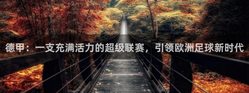 杏宇2注册