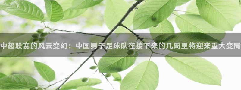 杏宇体育凯捷平台招商