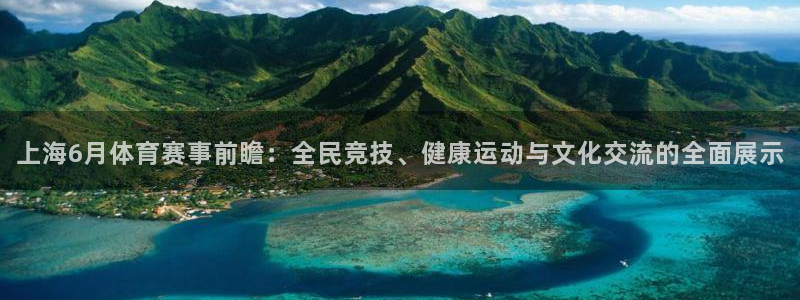 杏宇体育官网入口登录