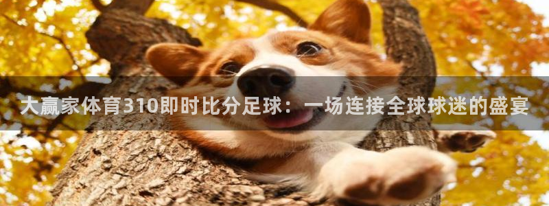 杏宇体育注册平台