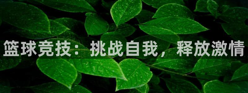 杏宇体育凯捷平台注册