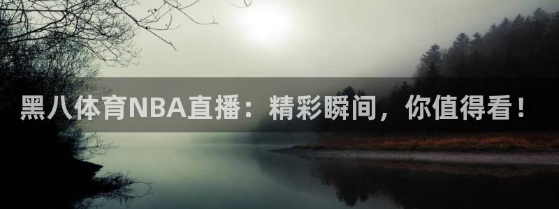 杏宇体育凯捷代理注册