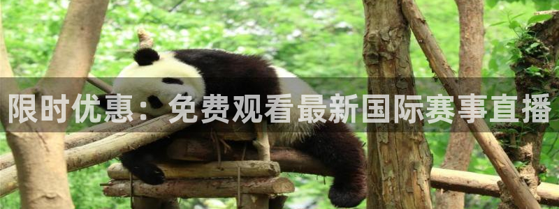 山西杏宇酒业有限公司